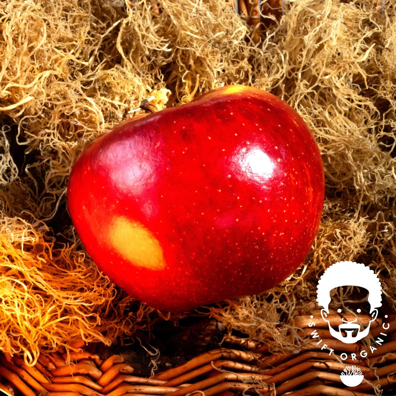 8oz container of Apple infused with Seamoss