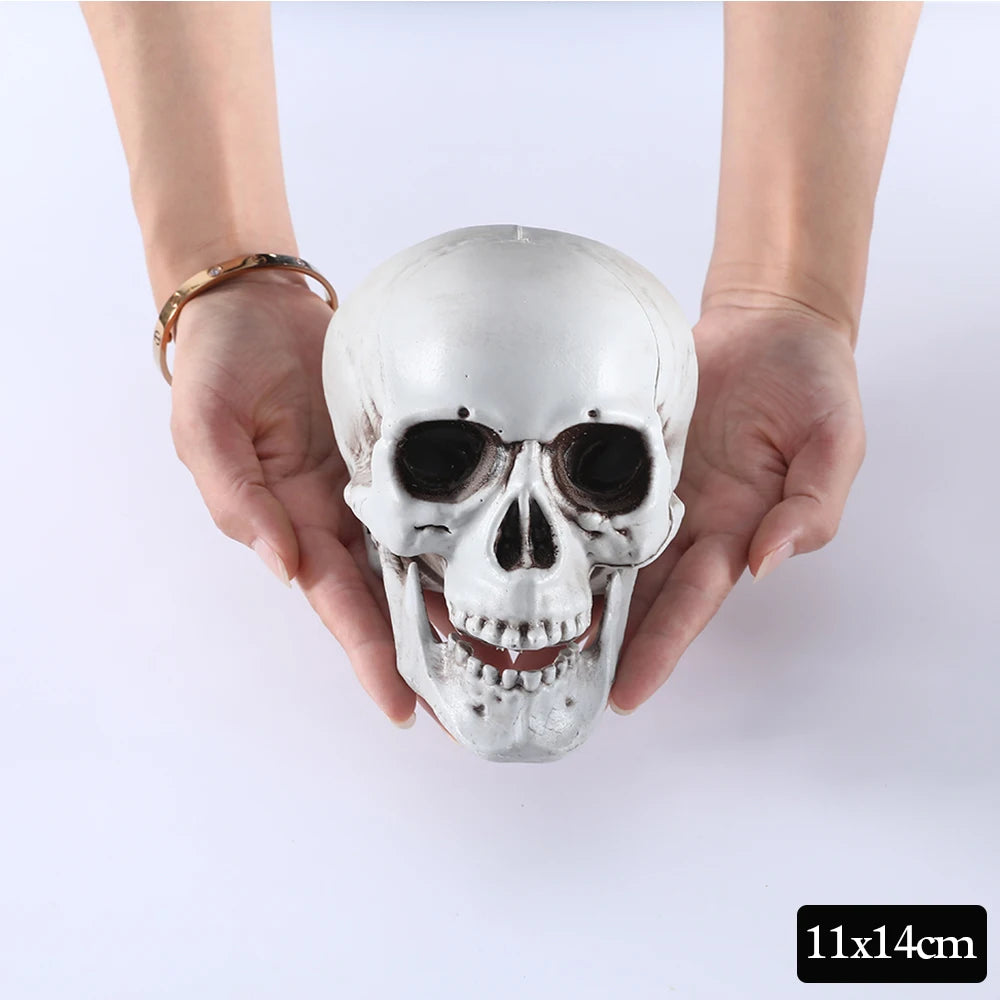 Halloween Skull Decor Prop Skeleton Head Realistic Looking Skulls for Adult Halloween Style Haunted House Party Home Decoration