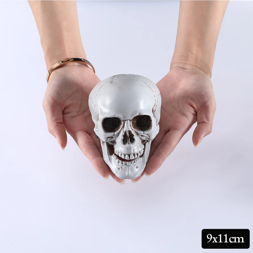 Halloween Skull Decor Prop Skeleton Head Realistic Looking Skulls for Adult Halloween Style Haunted House Party Home Decoration