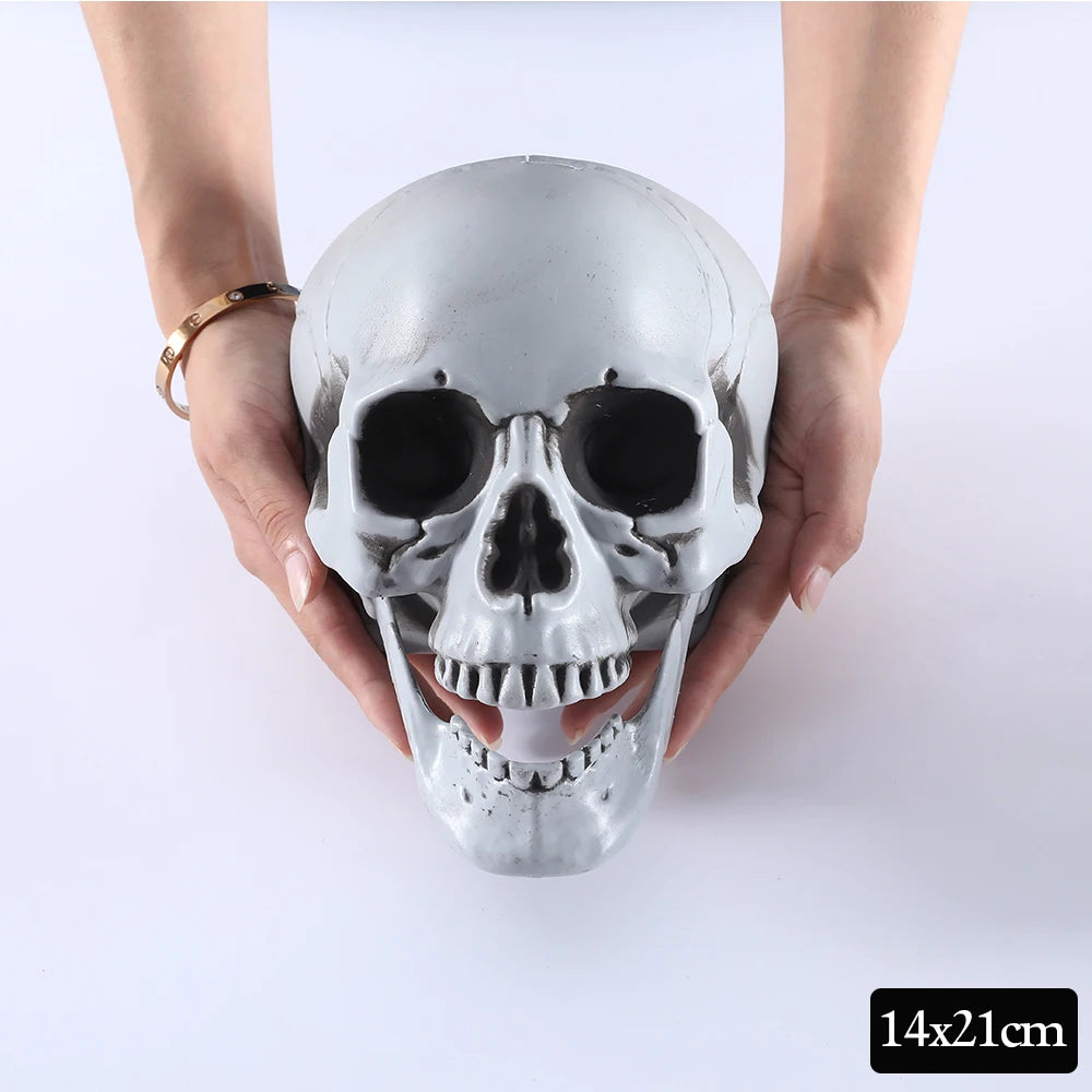 Halloween Skull Decor Prop Skeleton Head Realistic Looking Skulls for Adult Halloween Style Haunted House Party Home Decoration