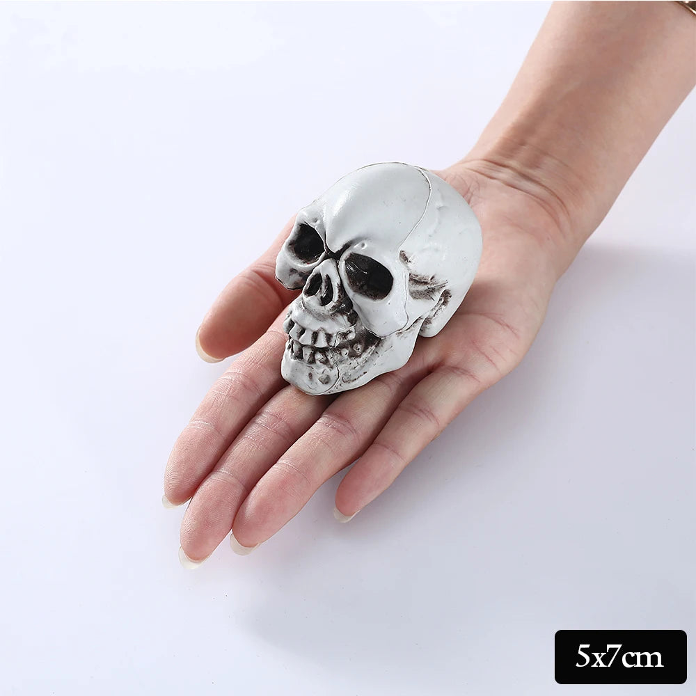 Halloween Skull Decor Prop Skeleton Head Realistic Looking Skulls for Adult Halloween Style Haunted House Party Home Decoration