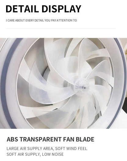 Smart Ceiling Fan