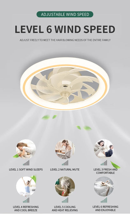 Smart Ceiling Fan