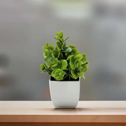 Plant Tree Window Sill Artificial