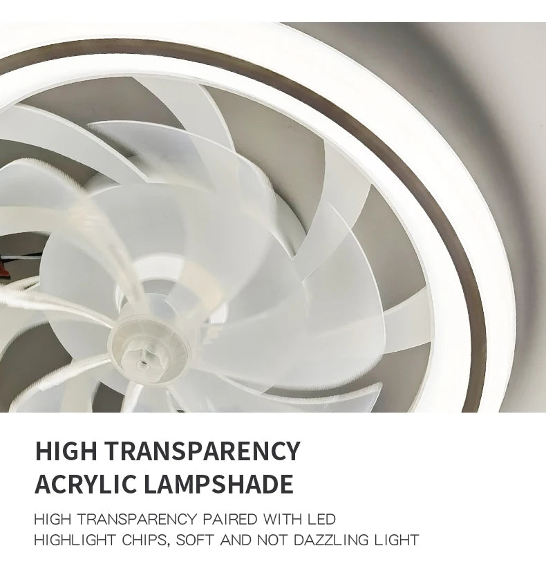 Smart Ceiling Fan