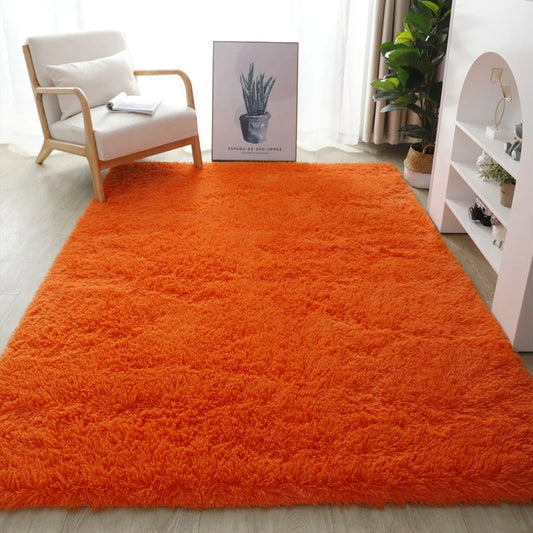 Fluffy  Plush Carpets and Rugs for Home Living Room,