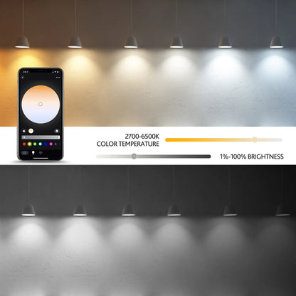 Dimmable Light LED lamp Smart Life APP, Voice with Alexa Google Home